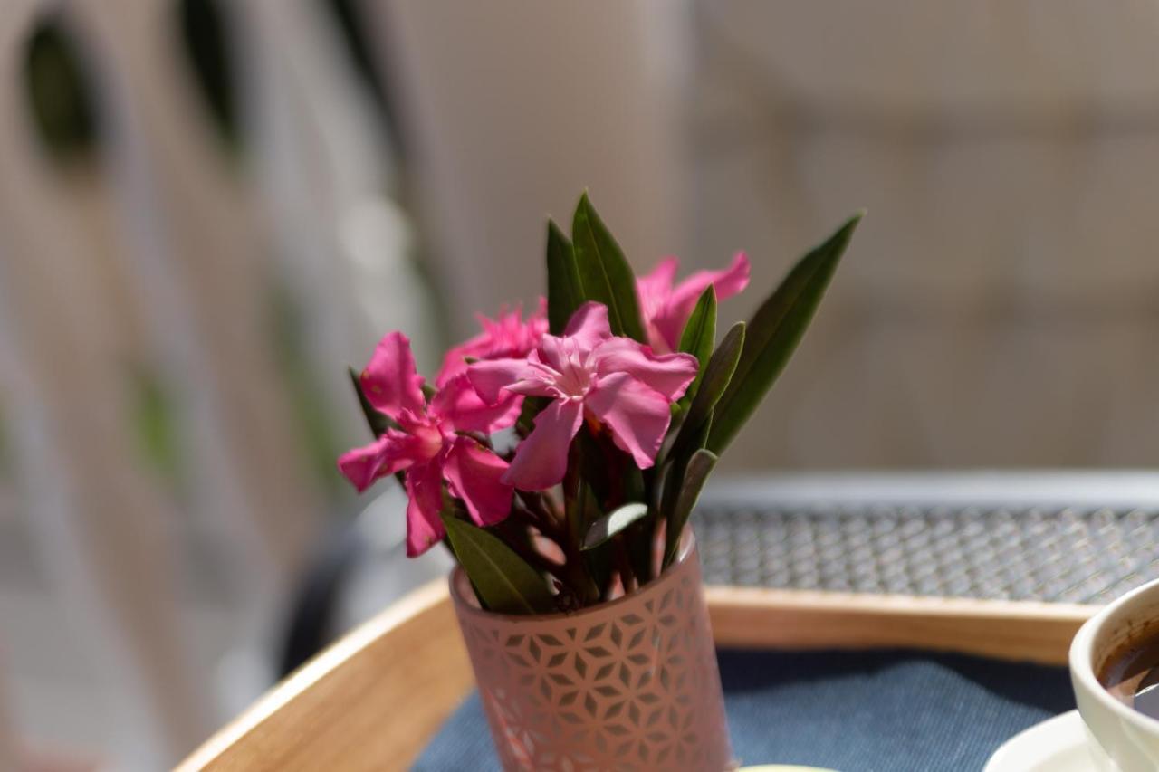 Villa Oleander دْغاماي المظهر الخارجي الصورة